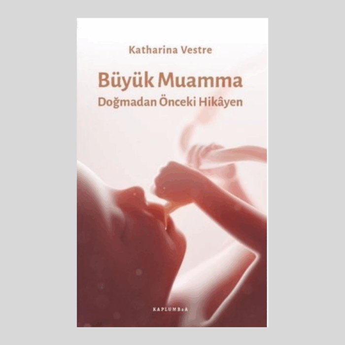 Büyük Muamma: Doğmadan Önceki Hikayem - Görsel 1