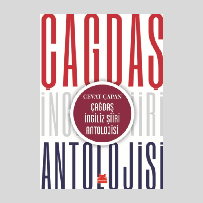 Çağdaş İngiliz Şiir Antolojisi - Görsel 1