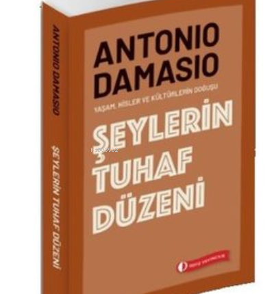 Şeylerin Tuhaf Düzeni
