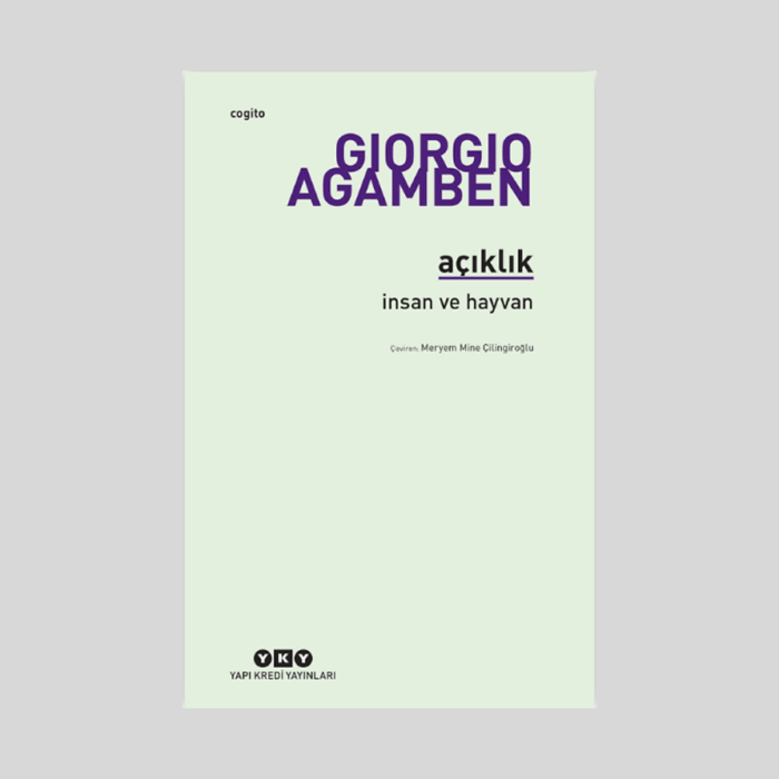 Açıklık - Görsel 1