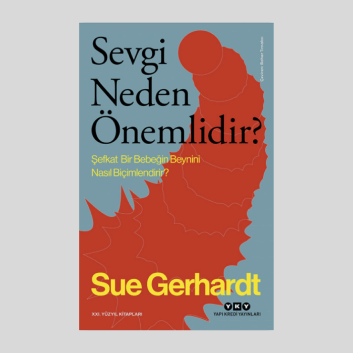 Sevgi Neden Önemlidir? -Şefkat Bir Bebeğin Beynini Nasıl Biçimlendirir? - Görsel 1