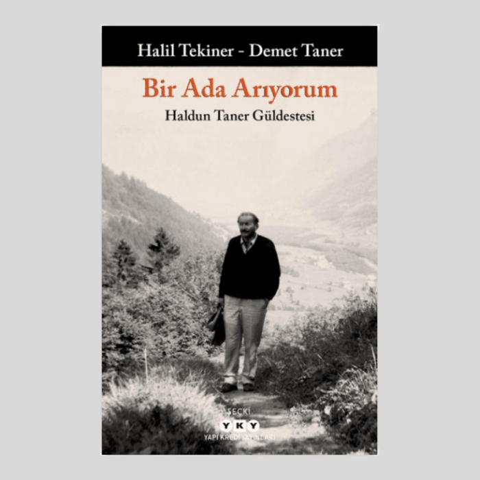 Bir Ada Arıyorum - Görsel 1