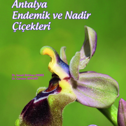 Antalya Endemik Ve Nadir Çiçekleri 