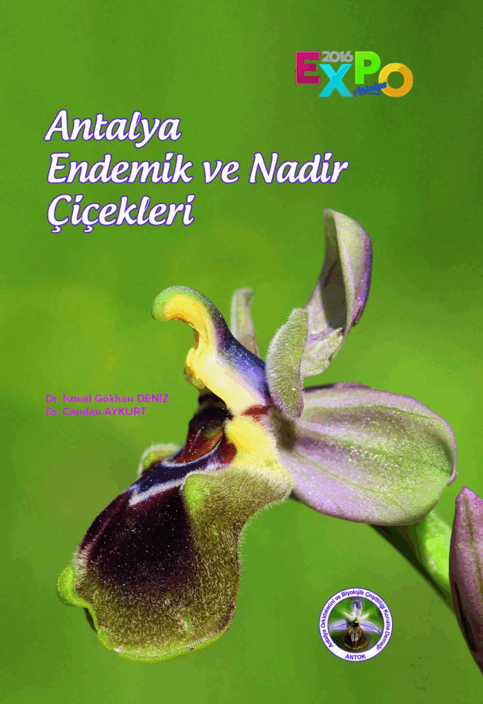 Antalya Endemik Ve Nadir Çiçekleri  - Görsel 1