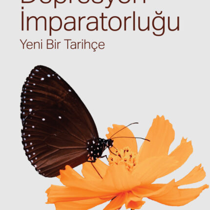 Depresyon İmparatorluğu