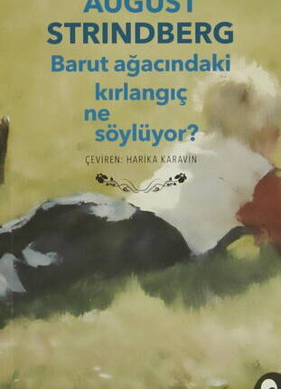 Barut Ağacındaki Kırlangıç Ne Söylüyor?