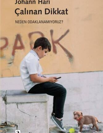 Çalınan Dikkat Neden Odaklanamıyoruz