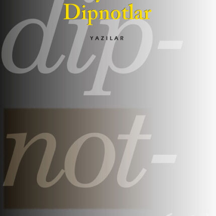 Edebiyatımıza Dipnotlar