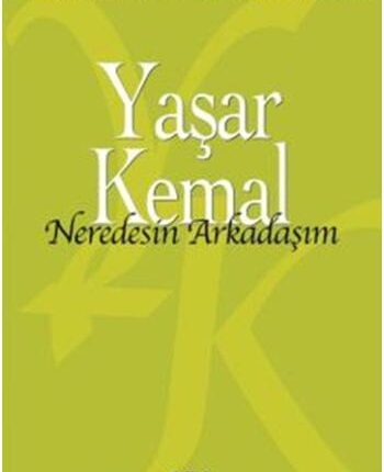 Neredesin Arkadaşım - Seçme Röportajlar