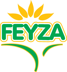 Feyza