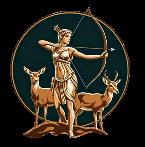 Artemis Kitabevi