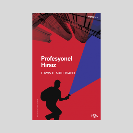 Profesyonel Hırsız