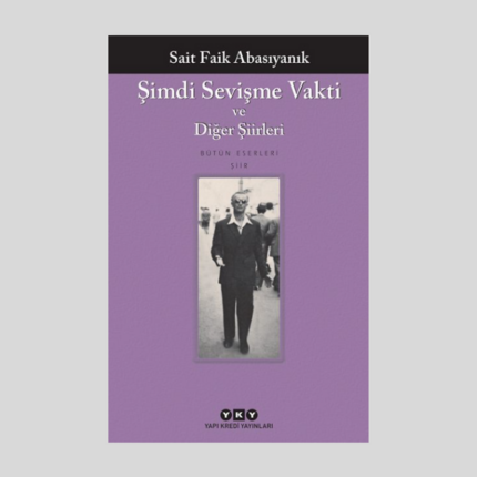 Şimdi Sevişme Vakti Ve Diğer Şiirleri