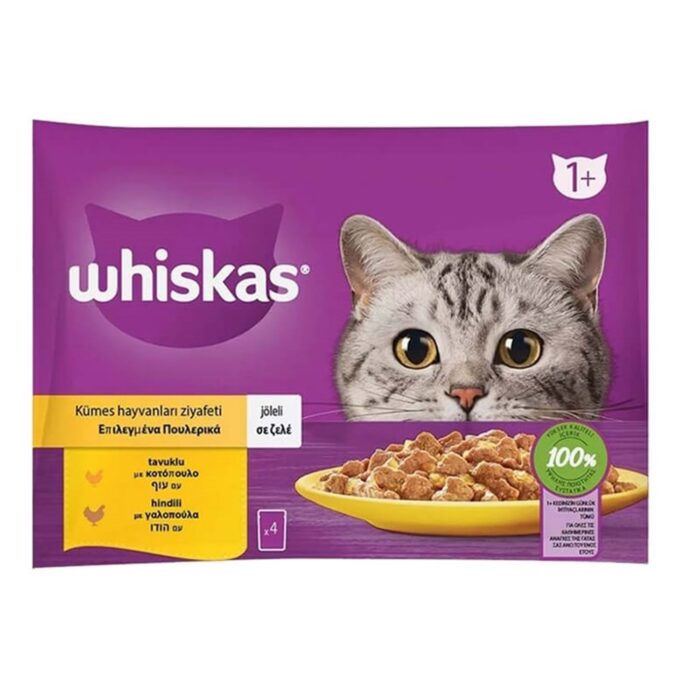 Whiskas Pouch Jöle Tavuklu ve Hindili Yetişkin Kedi Konservesi 4x85 gr - Görsel 1