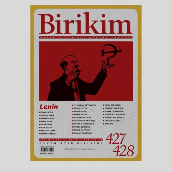 Birikim 2024/12