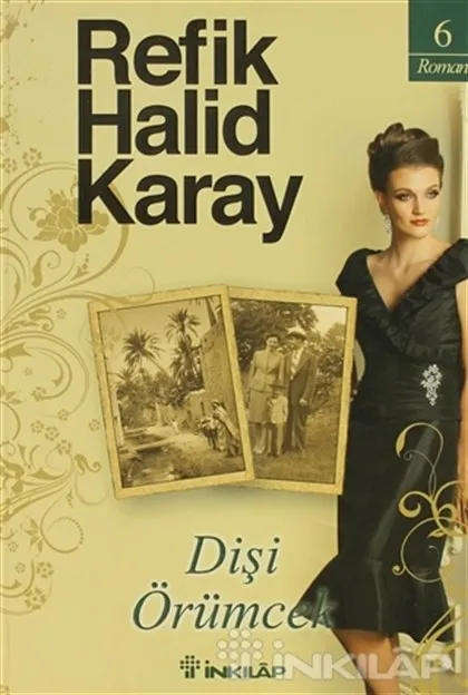Dişi Örümcek