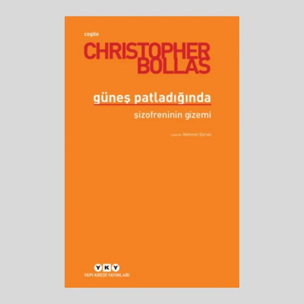 Güneş Patladığında Şizofreninin Gizemi